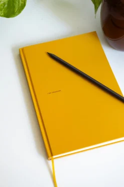 ANDREA IYAMAH I AM TREASURE JOURNAL